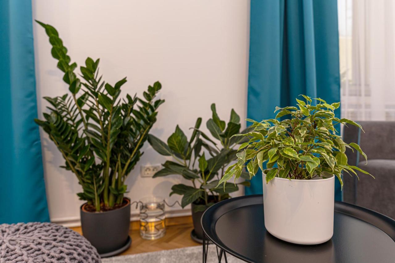 Garden Hideout - Central Apartment Brasov Luaran gambar